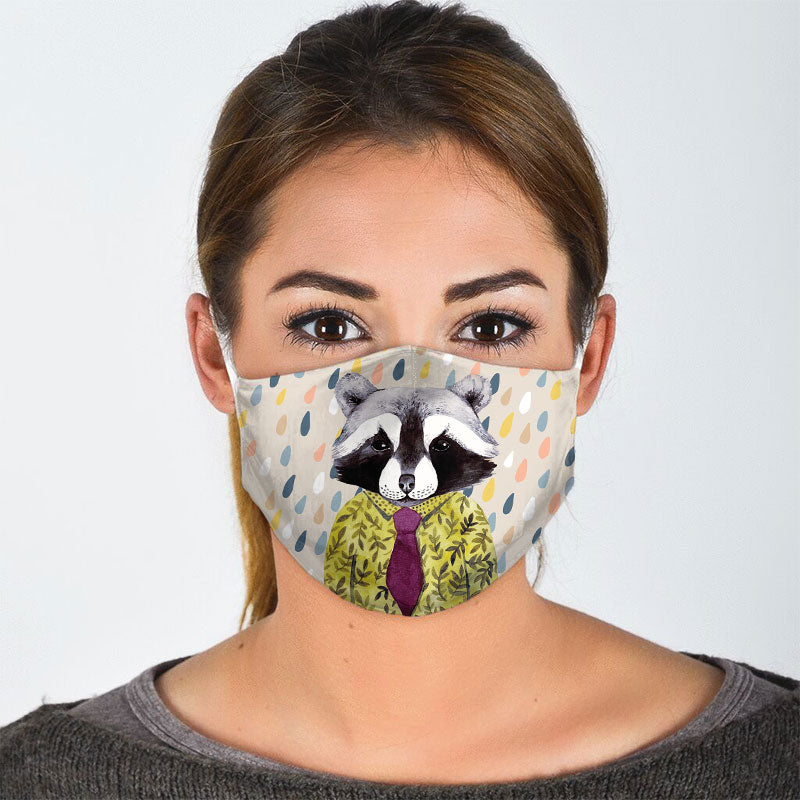 Cute Raccoon Face Mask